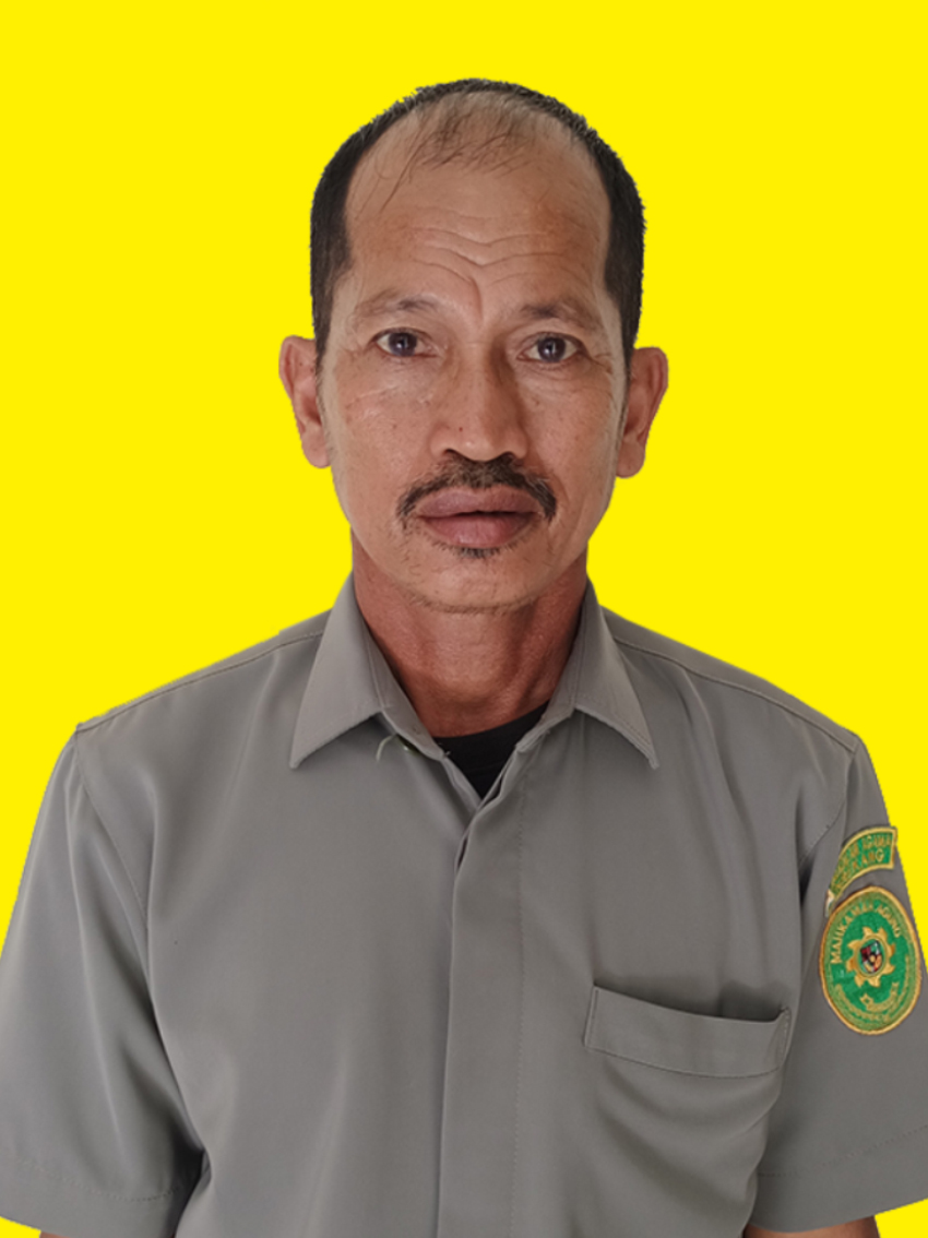 pak muhlis